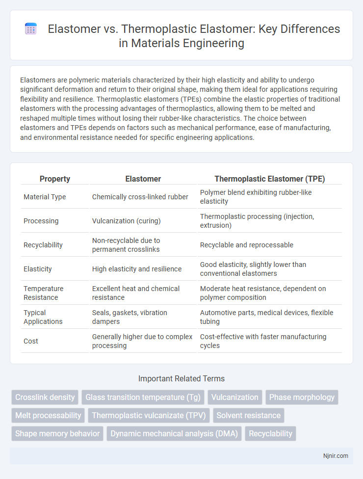 Elastomer vs. Thermoplastic Elastomer: Key Differences in Materials Engineering