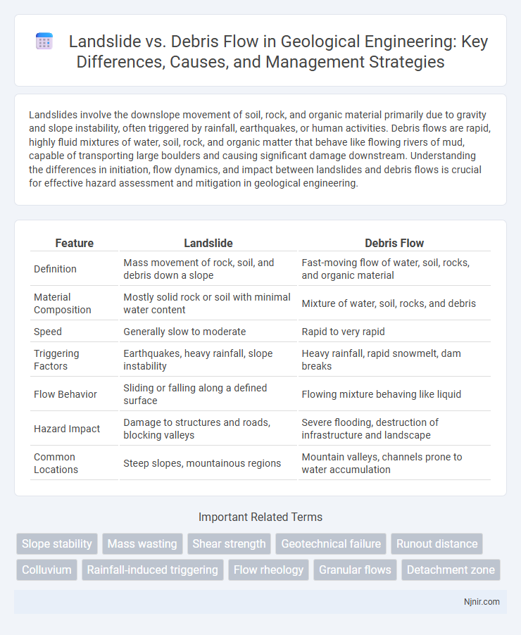 Landslide vs. Debris Flow in Geological Engineering: Key Differences, Causes, and Management Strategies