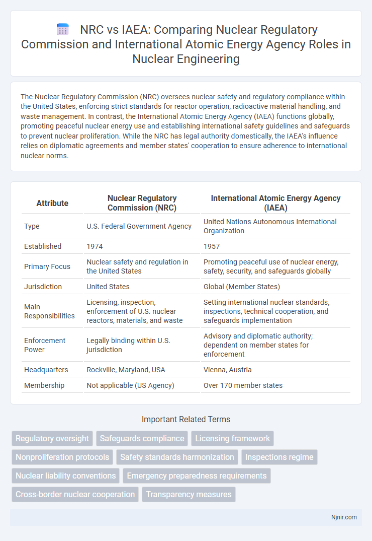 NRC vs IAEA: Comparing Nuclear Regulatory Commission and International Atomic Energy Agency Roles in Nuclear Engineering
