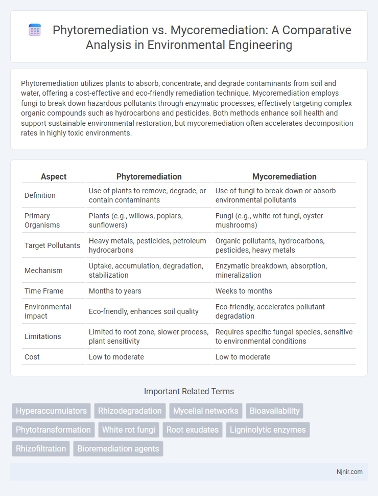 Phytoremediation vs. Mycoremediation: A Comparative Analysis in Environmental Engineering