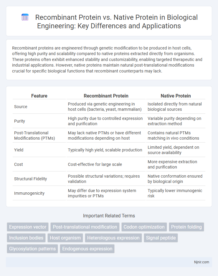 Recombinant Protein vs. Native Protein in Biological Engineering: Key Differences and Applications