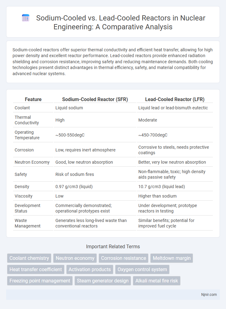 Sodium-Cooled vs. Lead-Cooled Reactors in Nuclear Engineering: A Comparative Analysis