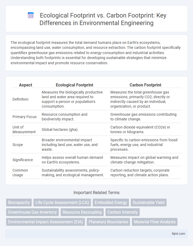 Ecological Footprint vs. Carbon Footprint: Key Differences in Environmental Engineering