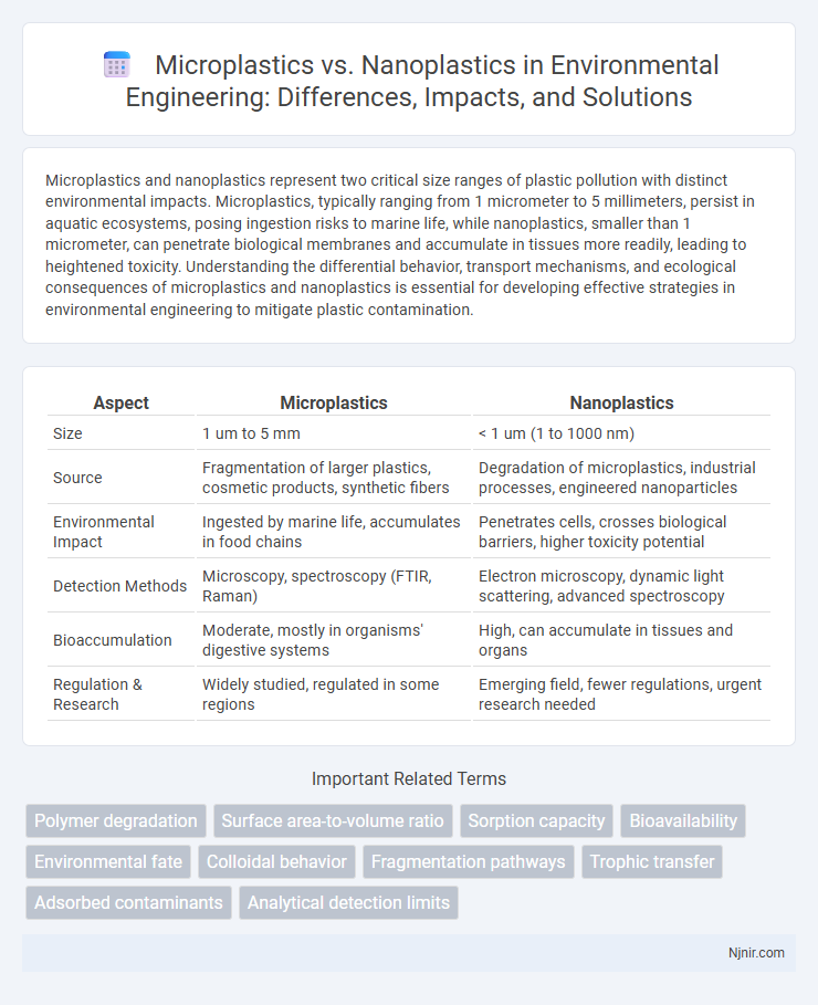 Microplastics vs. Nanoplastics in Environmental Engineering: Differences, Impacts, and Solutions