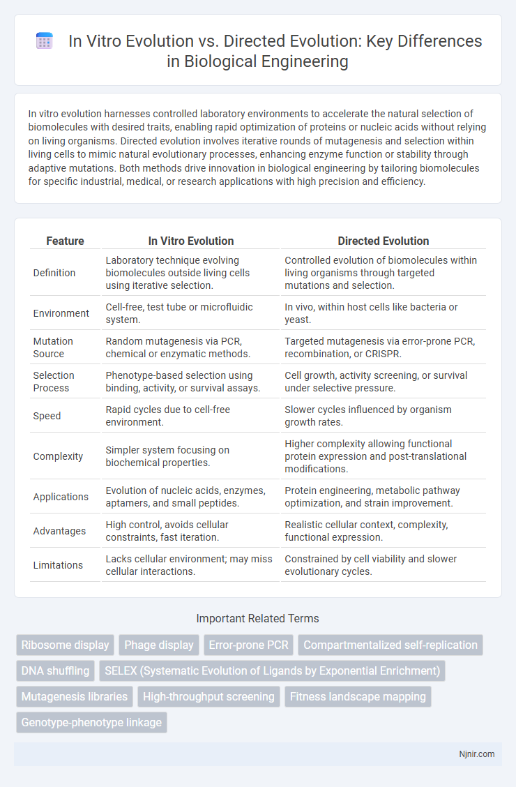 In Vitro Evolution vs. Directed Evolution: Key Differences in Biological Engineering