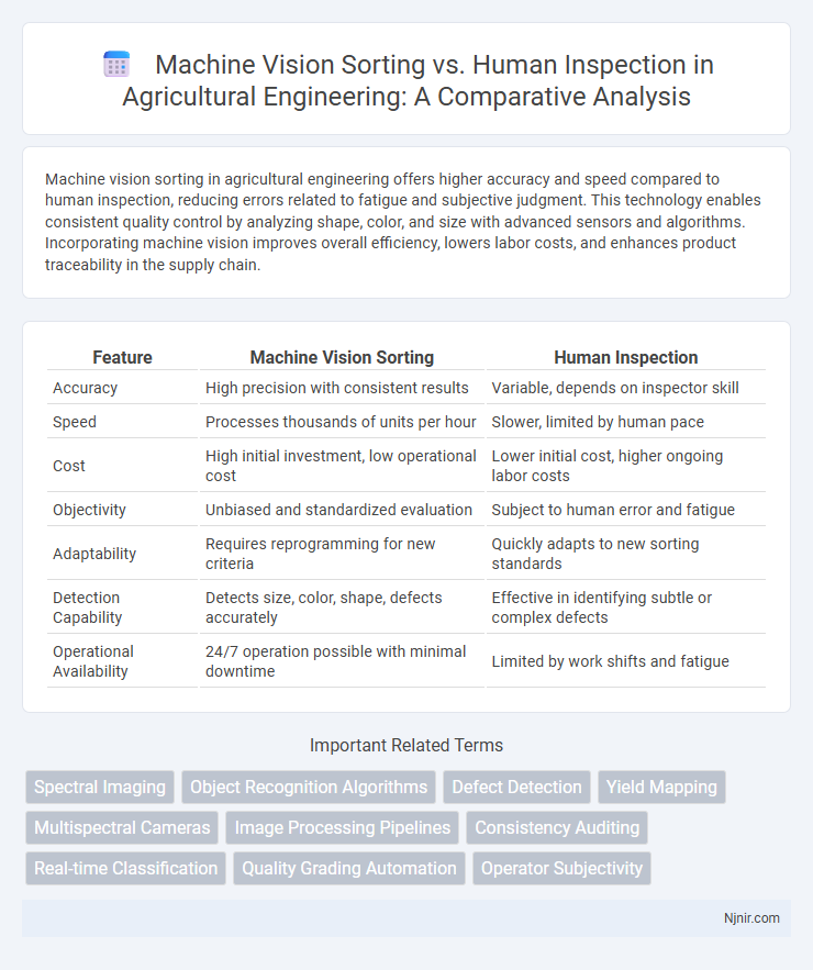 Machine Vision Sorting vs. Human Inspection in Agricultural Engineering: A Comparative Analysis