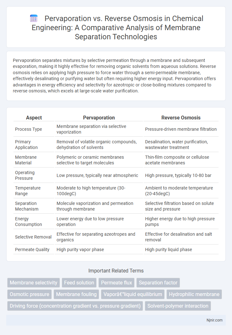Pervaporation vs. Reverse Osmosis in Chemical Engineering: A Comparative Analysis of Membrane Separation Technologies