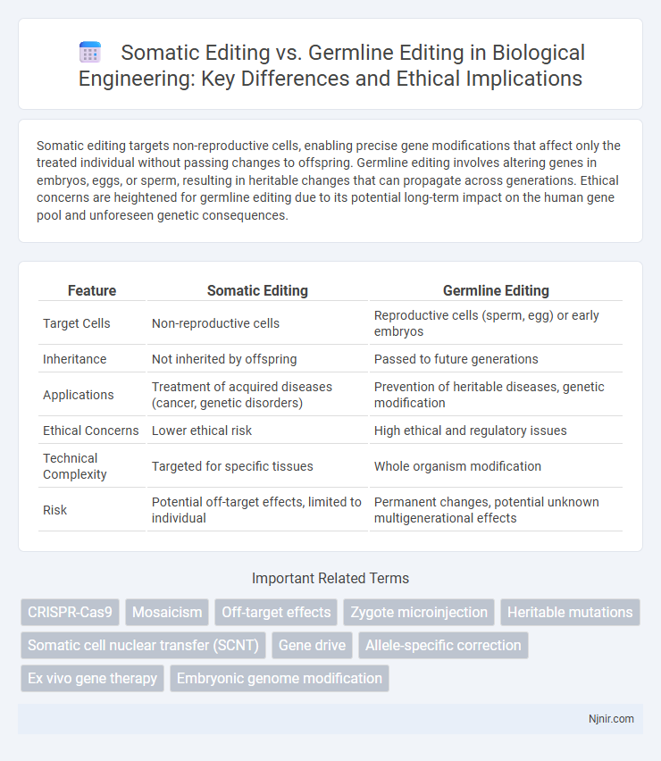 Somatic Editing vs. Germline Editing in Biological Engineering: Key Differences and Ethical Implications
