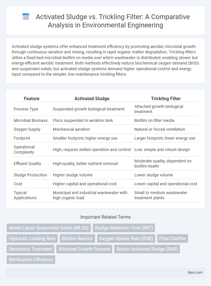 Activated Sludge vs. Trickling Filter: A Comparative Analysis in Environmental Engineering