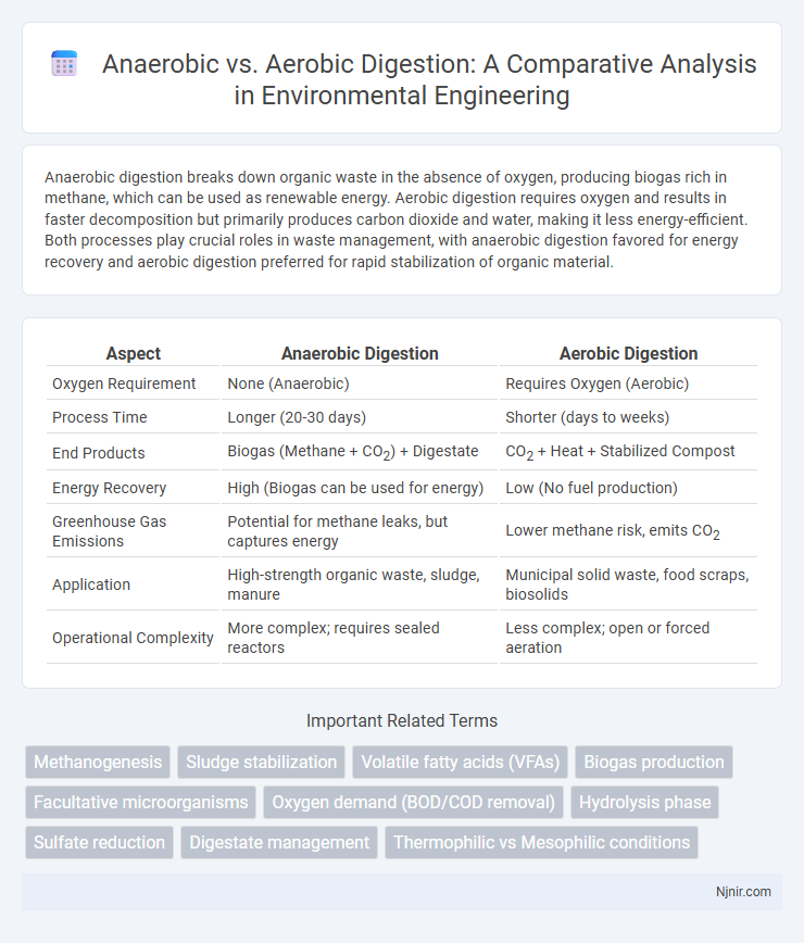 Anaerobic vs. Aerobic Digestion: A Comparative Analysis in Environmental Engineering
