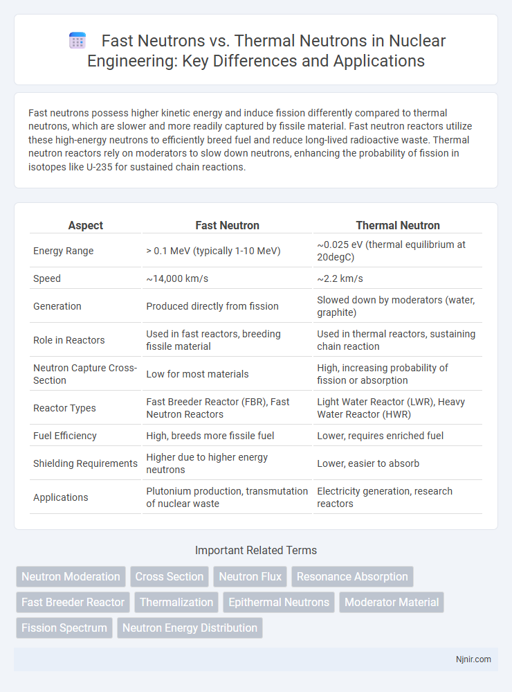 Fast Neutrons vs. Thermal Neutrons in Nuclear Engineering: Key Differences and Applications