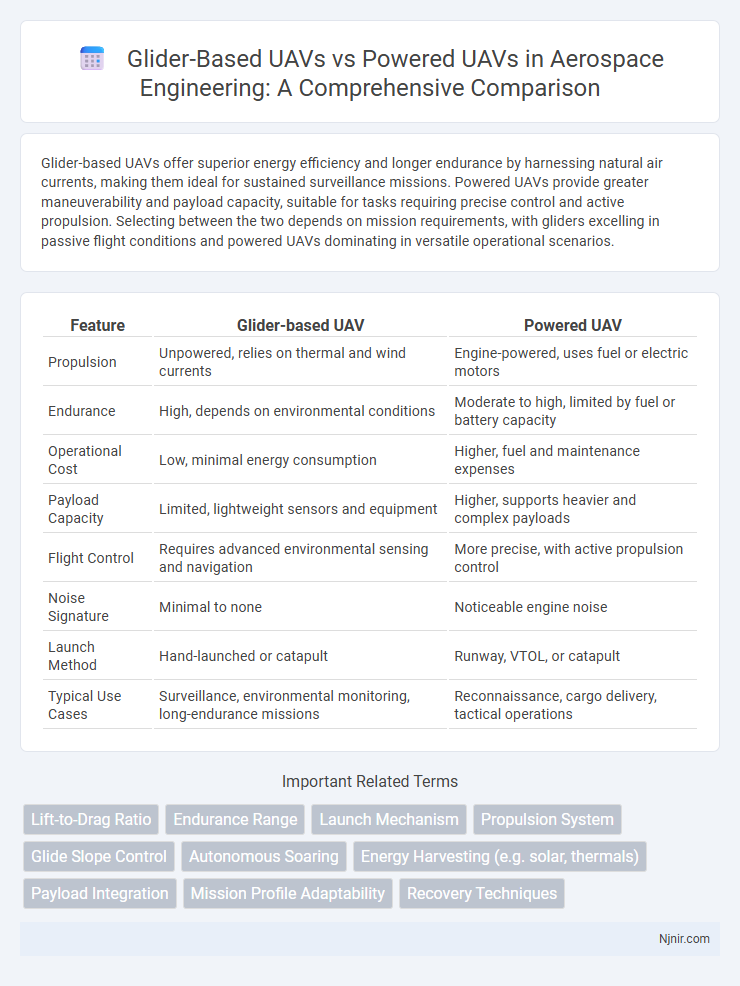 Glider-Based UAVs vs Powered UAVs in Aerospace Engineering: A Comprehensive Comparison