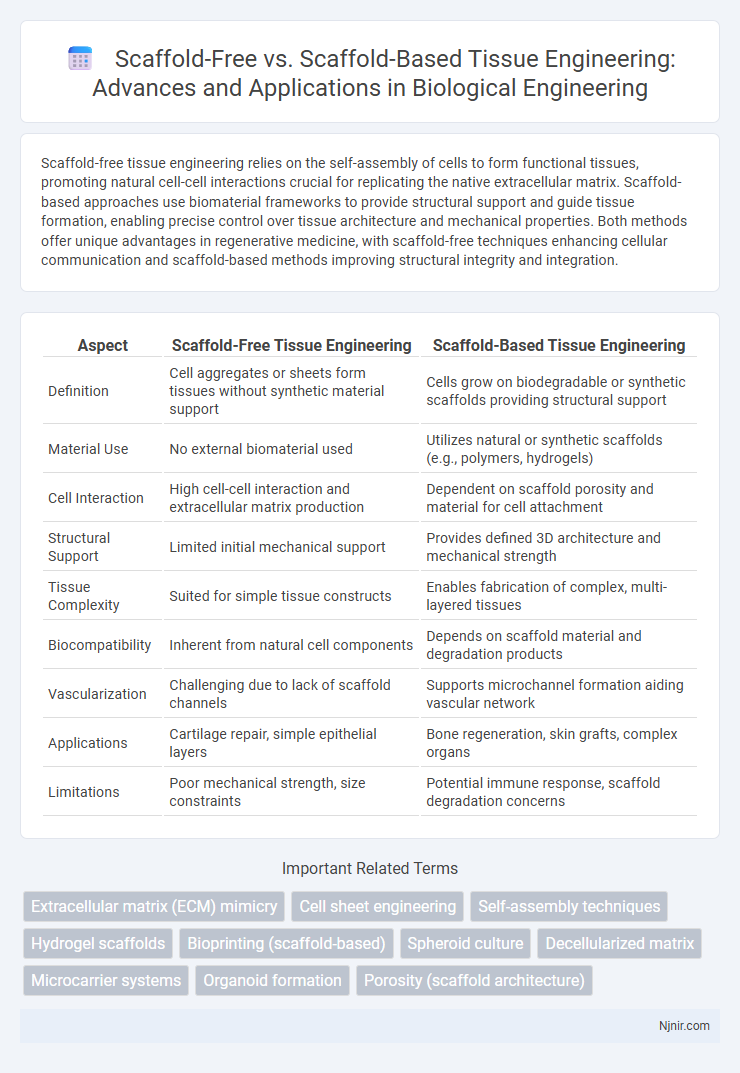 Scaffold-Free vs. Scaffold-Based Tissue Engineering: Advances and Applications in Biological Engineering