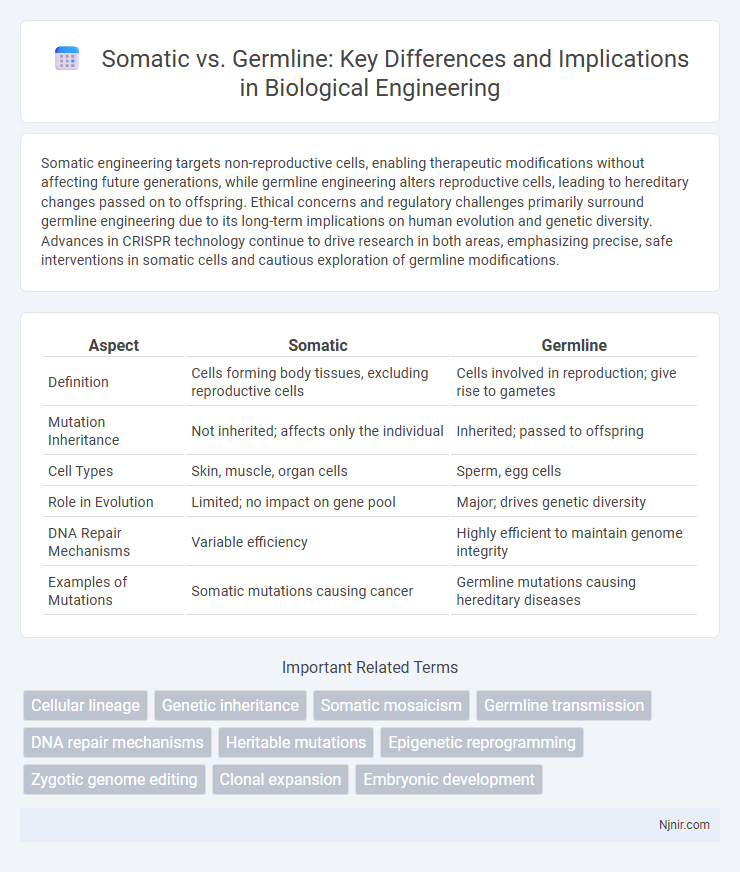 Somatic vs. Germline: Key Differences and Implications in Biological Engineering