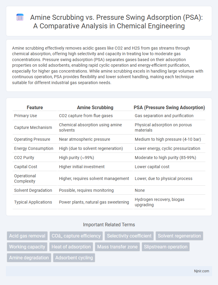 Amine Scrubbing vs. Pressure Swing Adsorption (PSA): A Comparative Analysis in Chemical Engineering