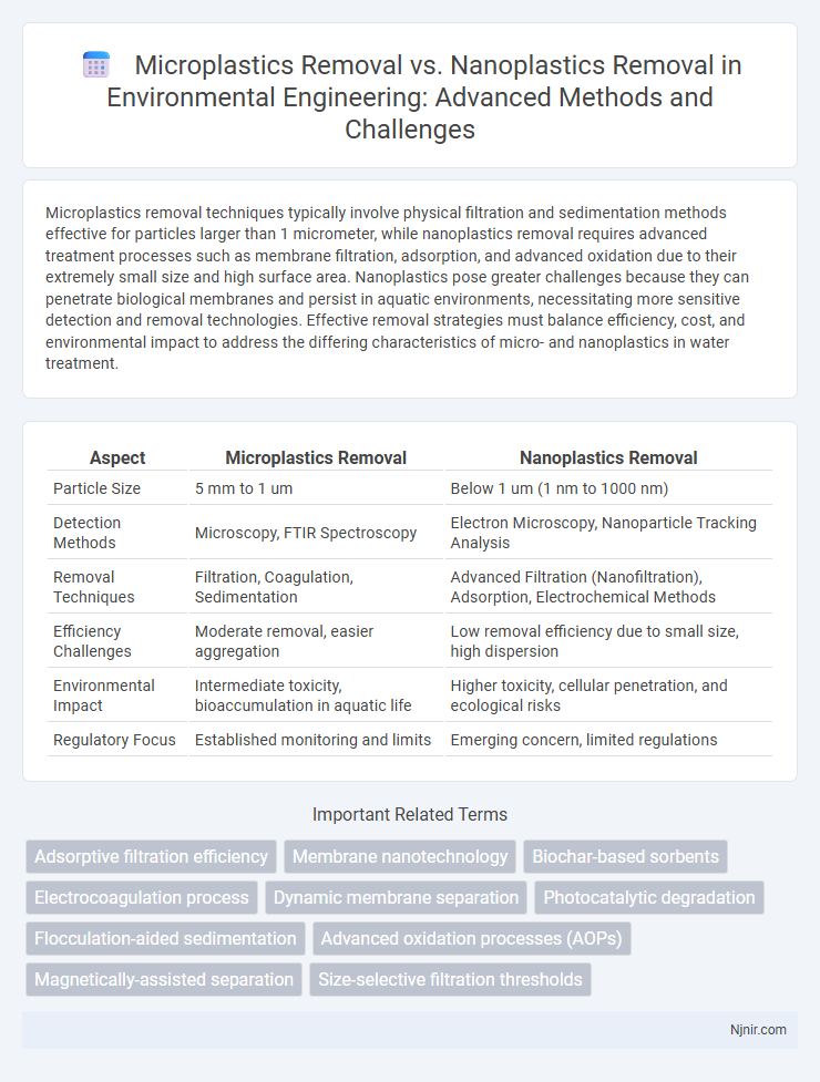 Microplastics Removal vs. Nanoplastics Removal in Environmental Engineering: Advanced Methods and Challenges