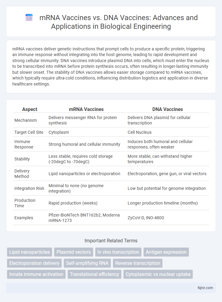 mRNA Vaccines vs. DNA Vaccines: Advances and Applications in Biological Engineering
