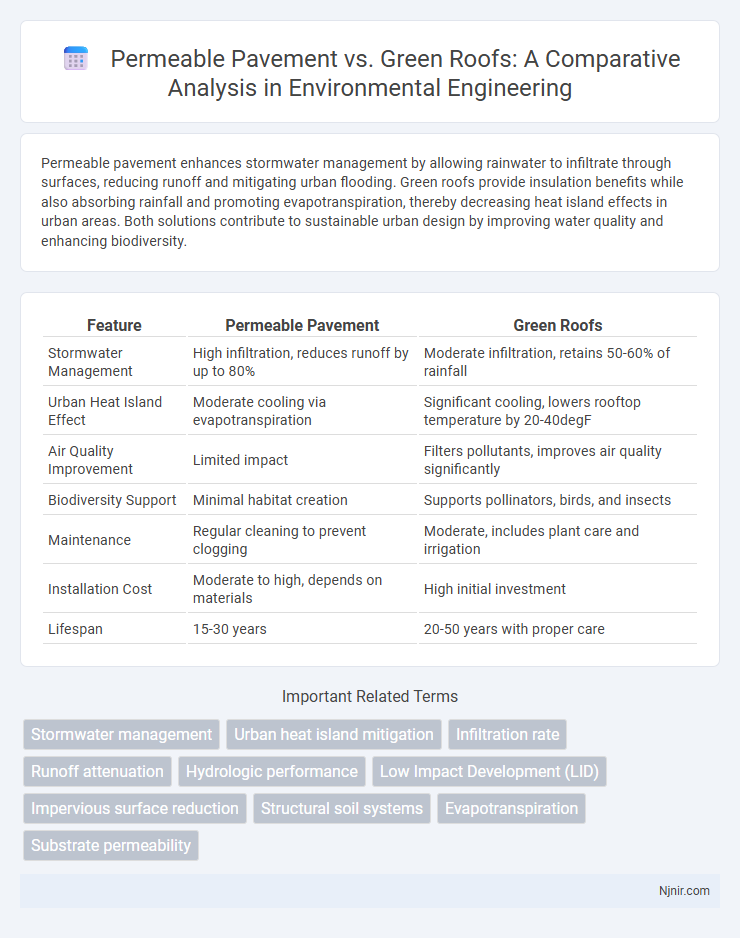 Permeable Pavement vs. Green Roofs: A Comparative Analysis in Environmental Engineering