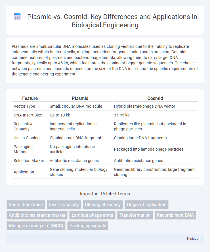 Plasmid vs. Cosmid: Key Differences and Applications in Biological Engineering