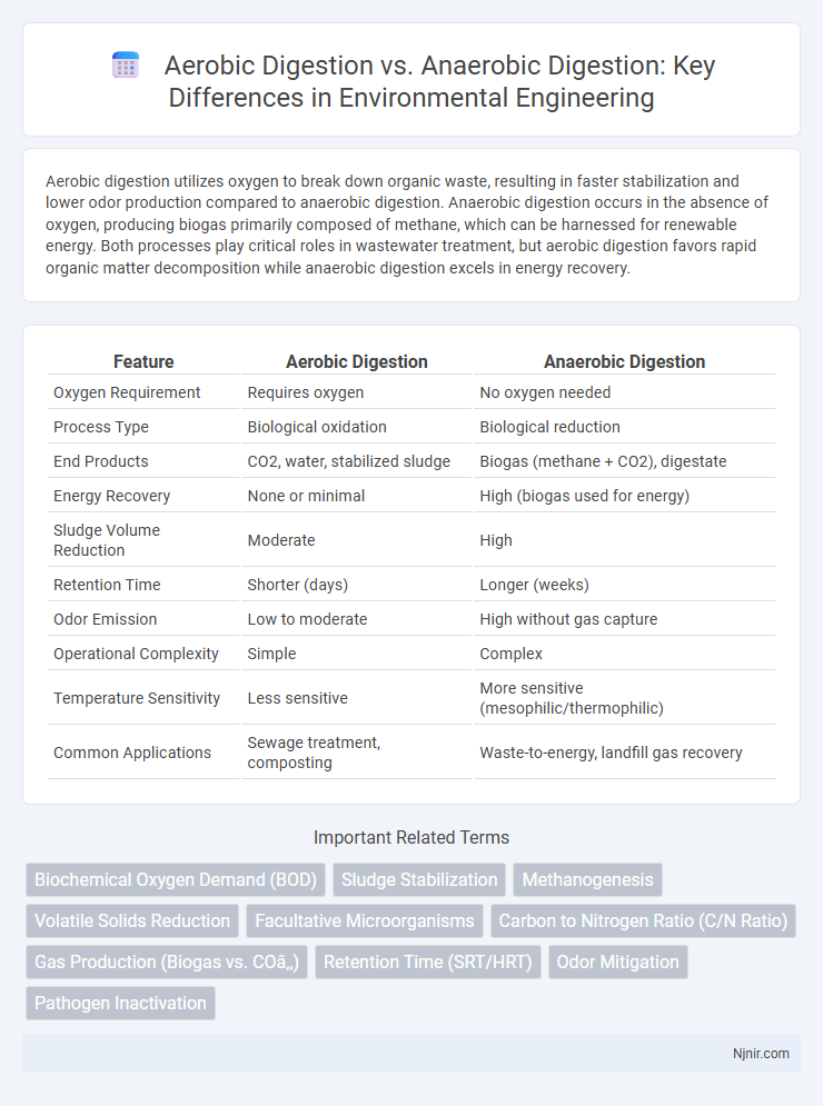Aerobic Digestion vs. Anaerobic Digestion: Key Differences in Environmental Engineering