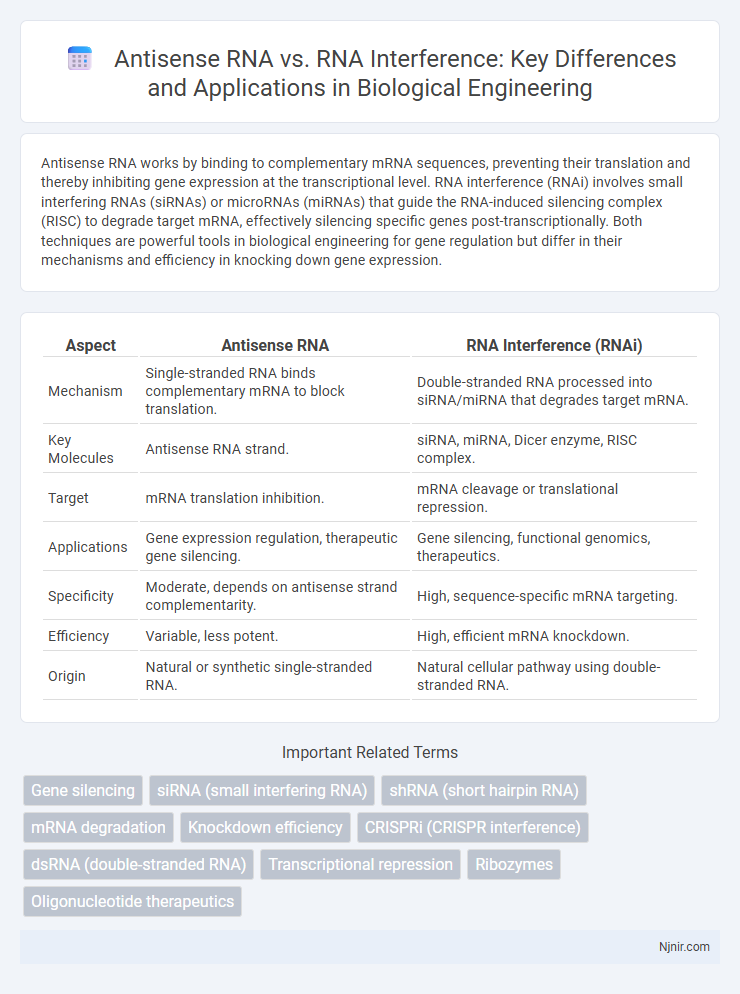 Antisense RNA vs. RNA Interference: Key Differences and Applications in Biological Engineering