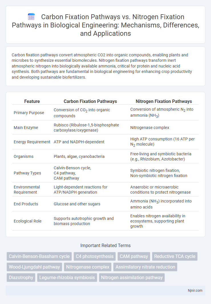 Carbon Fixation Pathways vs. Nitrogen Fixation Pathways in Biological Engineering: Mechanisms, Differences, and Applications