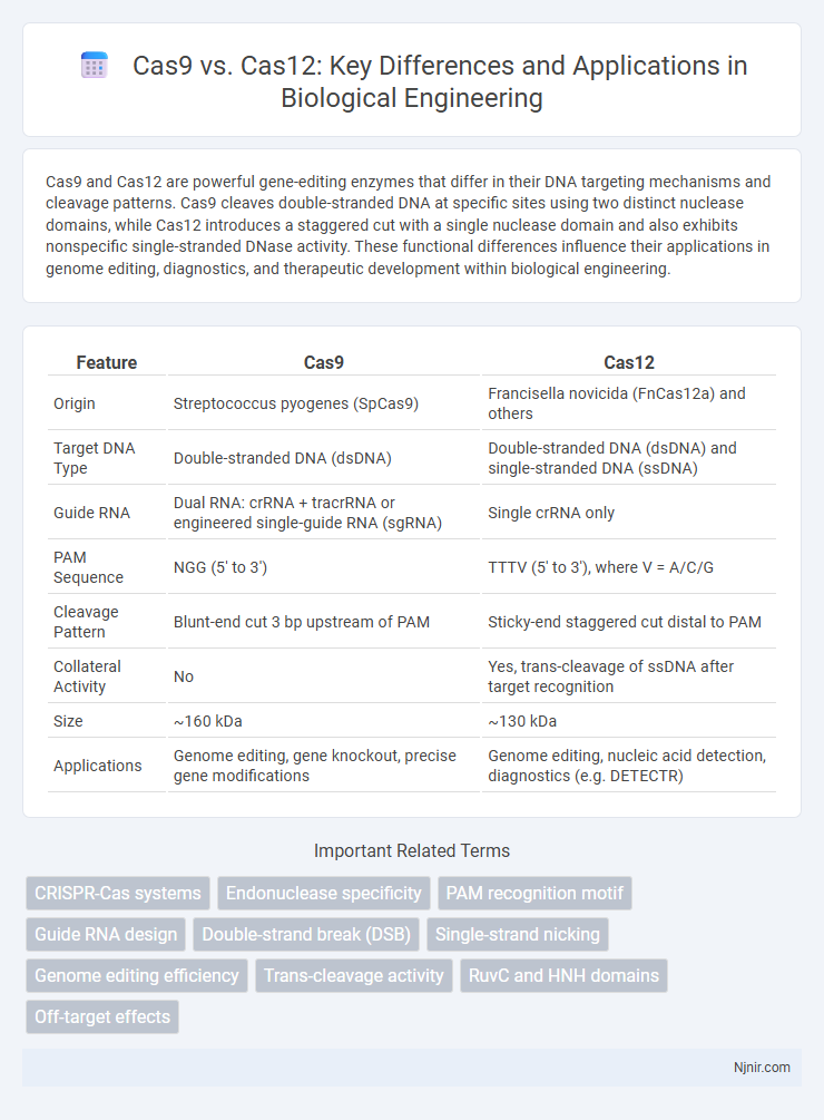 Cas9 vs. Cas12: Key Differences and Applications in Biological Engineering