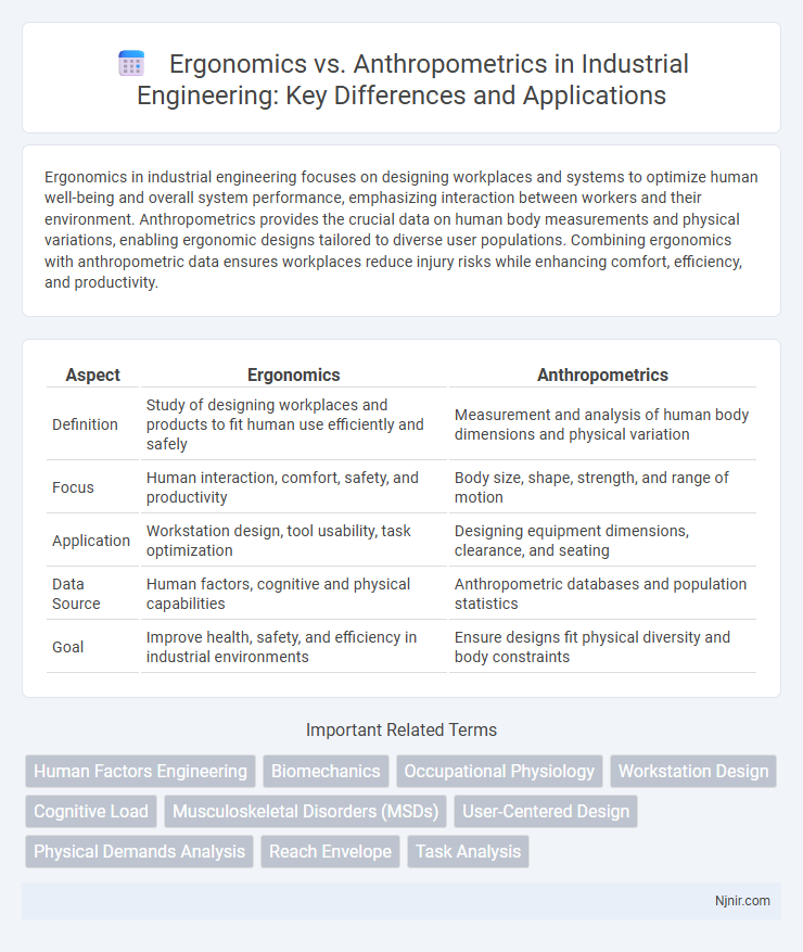 Ergonomics vs. Anthropometrics in Industrial Engineering: Key Differences and Applications