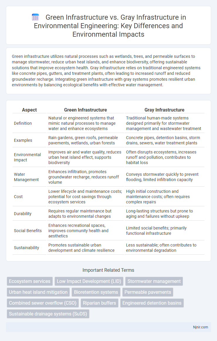 Green Infrastructure vs. Gray Infrastructure in Environmental Engineering: Key Differences and Environmental Impacts