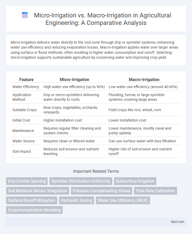 Micro-Irrigation vs. Macro-Irrigation in Agricultural Engineering: A Comparative Analysis