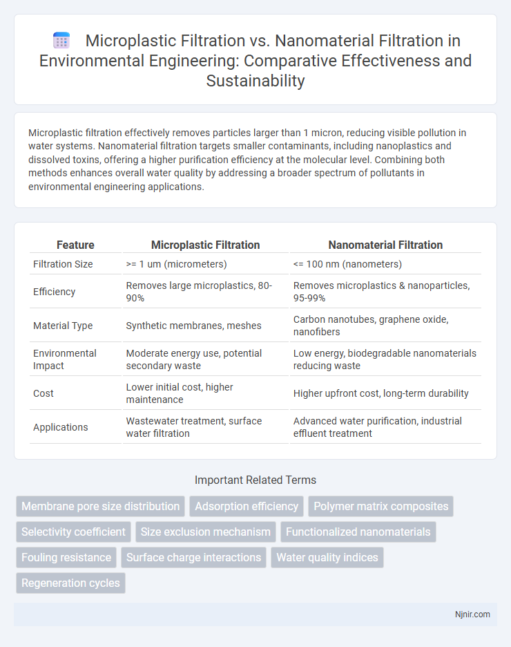 Microplastic Filtration vs. Nanomaterial Filtration in Environmental Engineering: Comparative Effectiveness and Sustainability