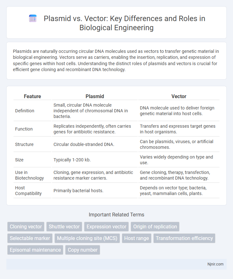 Plasmid vs. Vector: Key Differences and Roles in Biological Engineering