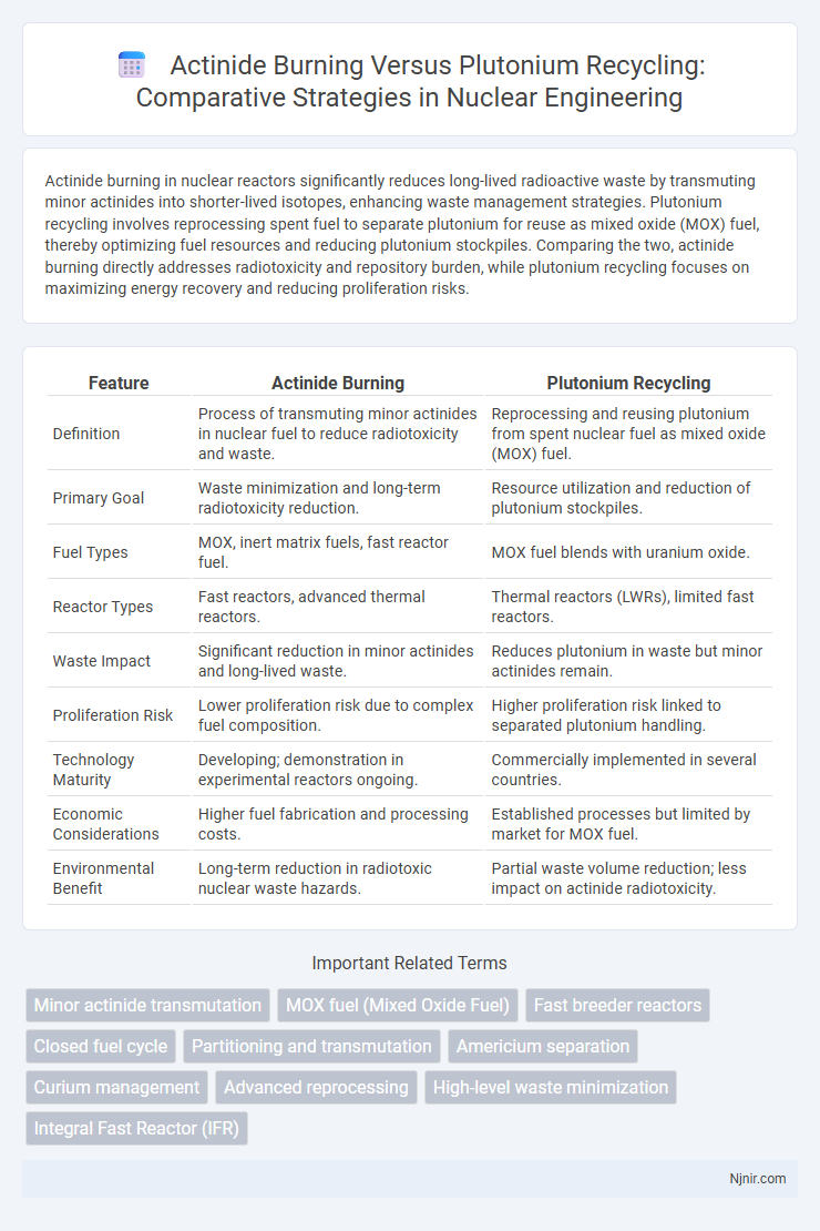 Actinide Burning Versus Plutonium Recycling: Comparative Strategies in Nuclear Engineering