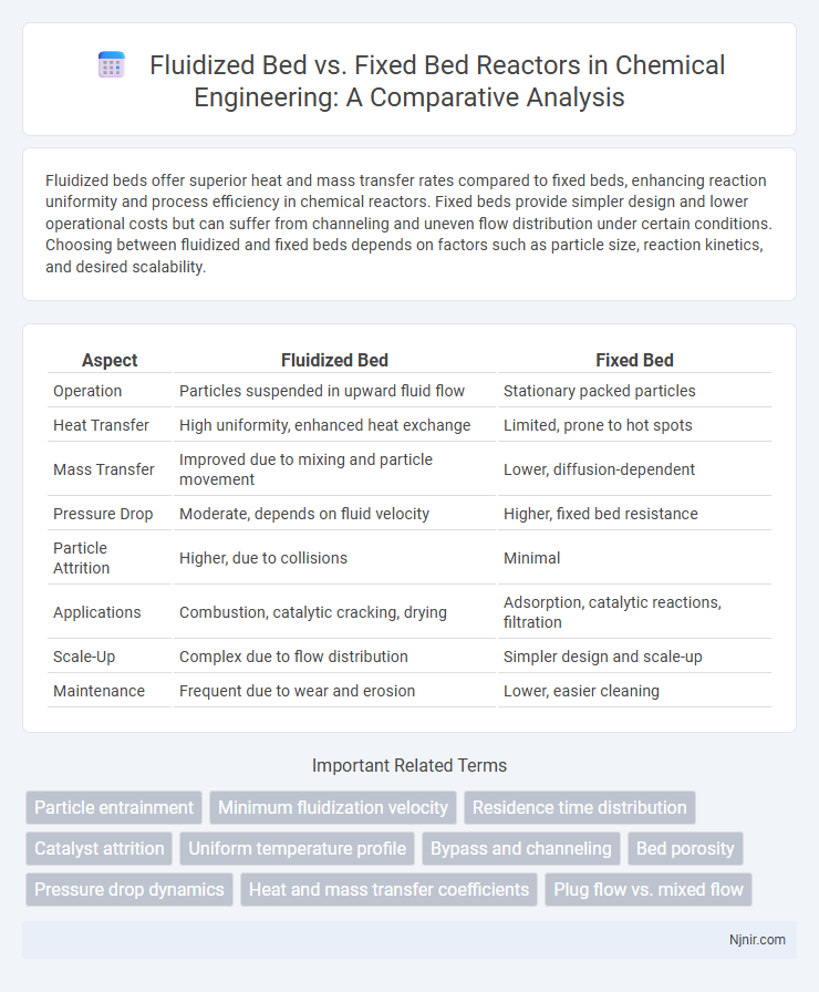 Fluidized Bed vs. Fixed Bed Reactors in Chemical Engineering: A Comparative Analysis