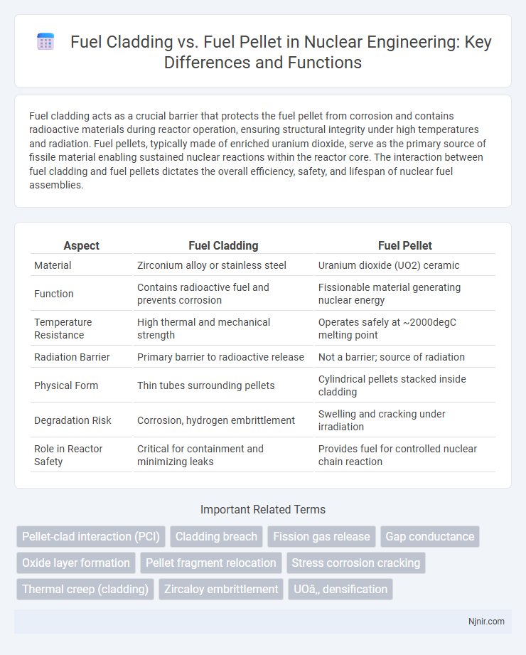 Fuel Cladding vs. Fuel Pellet in Nuclear Engineering: Key Differences and Functions
