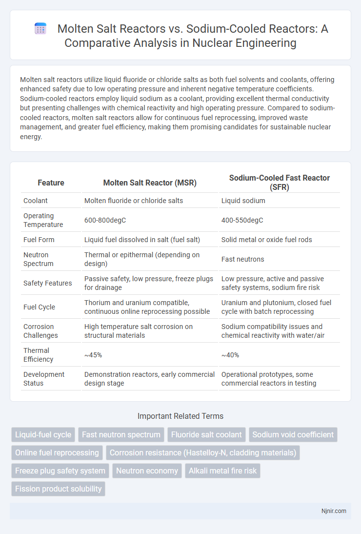 Molten Salt Reactors vs. Sodium-Cooled Reactors: A Comparative Analysis in Nuclear Engineering