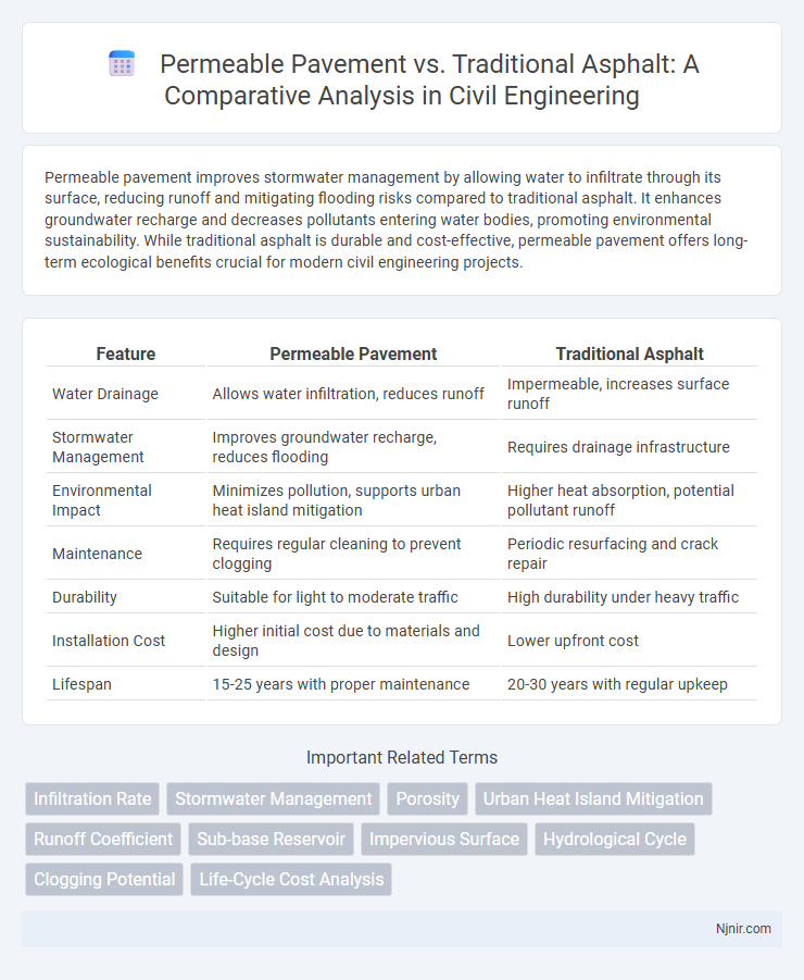 Permeable Pavement vs. Traditional Asphalt: A Comparative Analysis in Civil Engineering