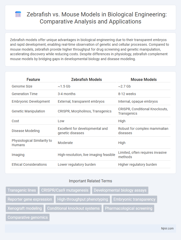 Zebrafish vs. Mouse Models in Biological Engineering: Comparative Analysis and Applications
